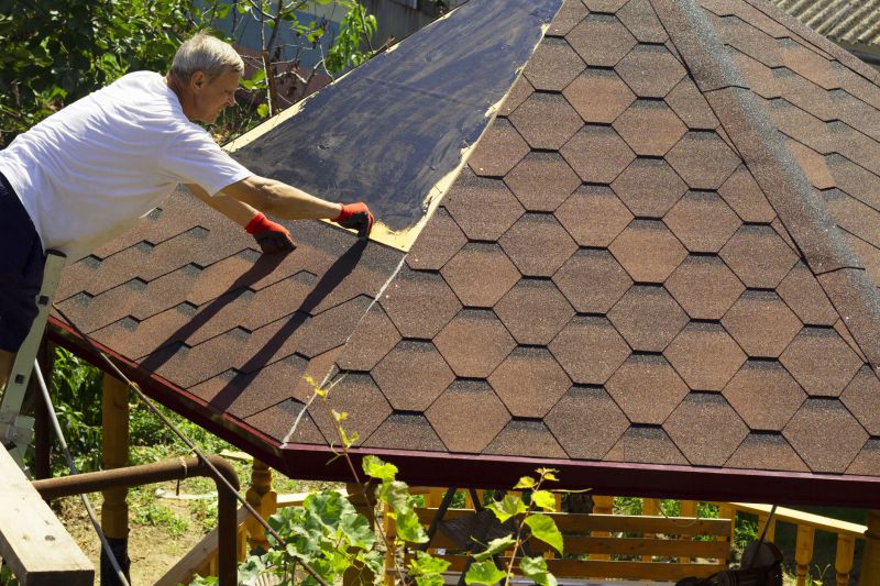 Roof Restoration Service