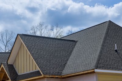 Local Roofing Experts